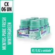 Goma de Mascar Mentos Pure Fresh Wintergreen Garrafa Sem Açúcar - caixa 6un